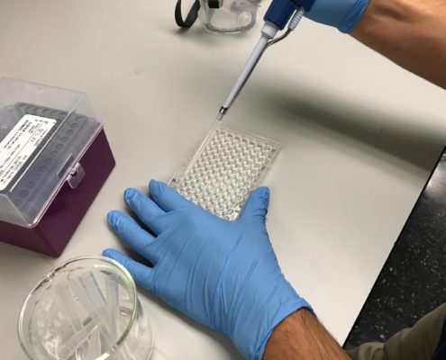 Mark micropipetting a master mix into a 96 well plate